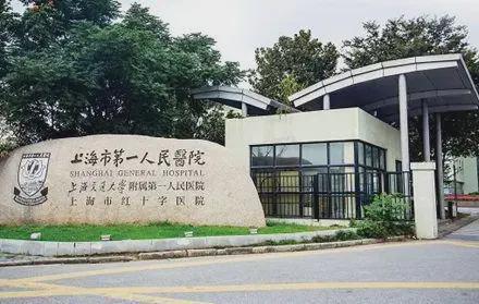天潼198-官方網(wǎng)站丨天潼198-售樓處歡迎您丨上海房天下(圖11)