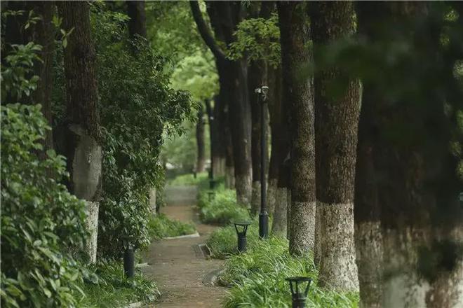 中鷹·黑森林-售樓處官方網(wǎng)站-百度百科-中鷹·黑森林-上海房天下(圖7)
