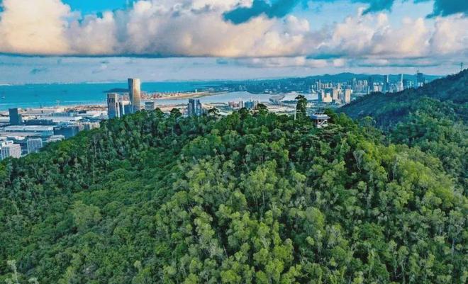 瑯玥灣家園售樓處2025官方網(wǎng)站-瑯玥灣家園樓盤詳情-深圳房天下(圖5)