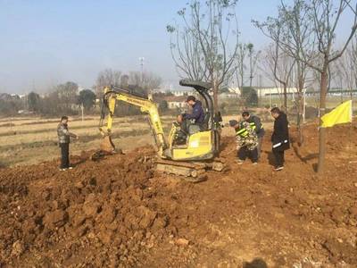 元旦前，應城再添靚麗綠化節點，守護文物文化遺址